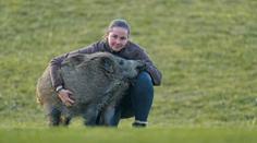 V české stanici mají kuriozitu. Místo psa ji hlídá divoké zvíře