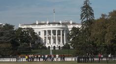 V USA je velký zájem o předčasné hlasování. Odvolilo už 40 procent voličů