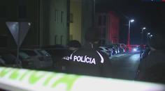 Obrovská tragédie na Slovensku. Muž zastřelil měsíční miminko, pak i sebe