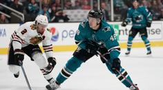 Hertl potvrzuje fantastickou formu! Skóroval proti Chicagu a slavil