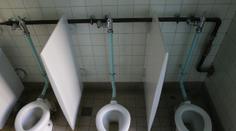 Veřejná WC jsou líheň nemocí, říká se. Lékařka prozradila, jak to je
