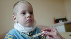 V Česku se šíří epidemie spalniček. Jak je poznáte?