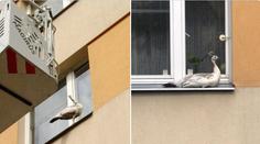 Netradiční zásah hasičů. V Praze chytali uprchlého páva