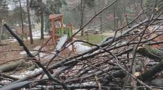 Vichr a sněhová kalamita zničily slovenskou zoo. Nedá se to ani popsat, říká ředitel