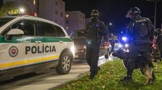 Hrůza v Bratislavě. Mladou ženu (21) měli hromadně znásilnit v lese
