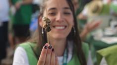 Ve Španělsku se konal festival šneků. Statisíce lidí jich spořádaly na 14 tun