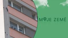 Ptáci ve městech ničí fasády domů! Klovou do nich ohromné díry