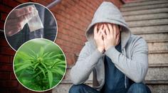 Šokující čísla o drogách v Evropě! V popředí žebříčků je i Česko