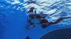 Santa v Tokiu nerozdával dárky jen hodným dětem. Na své si přišli i tučňáci