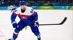 Nejblíže mám k Rusům, jsou to Slované jako my, hlásí hokejista Regenda z NHL