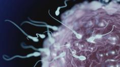 Covid-19 zřejmě snižuje potenci. Mužům ničí spermie, tvrdí experti