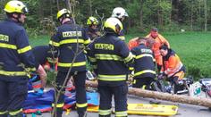 Pád stromu na Chrudimsku si vyžádal dvě oběti. Mohlo jít o zabití z nedbalosti