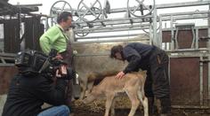Unikátní reportáž: Jak se žije na ekofarmě?