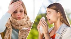 Nachlazení si mnoho lidí plete s alergií! Takhle je rozeznáte!