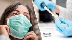 Na výsledky testů se čeká i dva týdny, laboratoře jsou zavalené