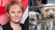 Případ zmizelé sestry: Našli se dva psi! Stopa zmátla policii