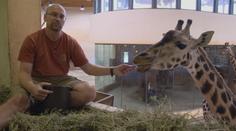 VÍKEND: Hlavní veterinář pražské zoologické zahrady