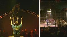 VIDEO: Patří zvířata do cirkusu nebo ne? HLASUJTE