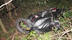 Zdrogovaný řidič ujížděl před policisty. Nakonec se schoval na stromě!