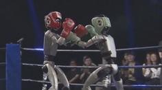 Roboti v posledních letech pokročili. Odehrál se jejich první turnaj v kickboxu