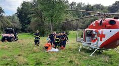 Útok medvěda na Slovensku: Ženu zachránil manžel, který bestii zahnal