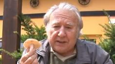 Mykolog poradil, jak na houbový guláš i jak poznat zákeřnou otravu