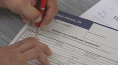 Brigádníků v Česku je nedostatek. Hlavně těch, co mají pracovat rukama