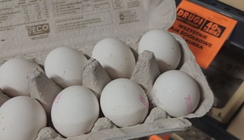 Nákup v Polsku může vyjít skoro o půlku levněji. Češi jezdí pro jídlo i květiny