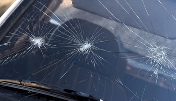 Hlášky motoristů v roce 2025: Nadržení ptáci, rozzuřený kozel i sestra v akci