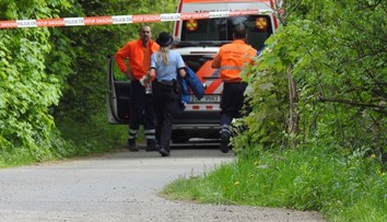 Překvapivý zvrat: Hrozí jí 18 let za podřezání bratra, dívku propustili!
