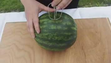 Vyrobte si domácí melounový džus během několika vteřin!