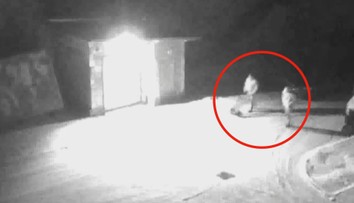 Narkomani z areálu firmy odnesli tunu mědi, kradli také naftu z kamionů