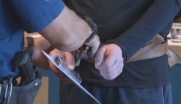 Policie dopadla muže podezřelého ze znásilnění. Dívku měl napadnout v parku
