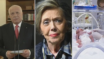 Amnestie, přímá volba hlavy státu, paterčata. I to byl rok 2013