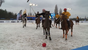 Tohle jinde nemají! V Pardubicích vymysleli koňské pólo na ledu