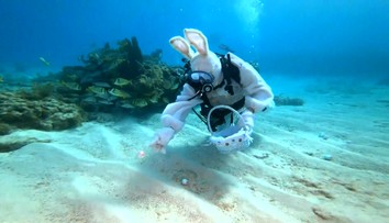 VIDEO: Neobvyklé sbírání velikonočních vajec! Zajíc je schoval na dno oceánu