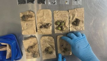 Čtyři Češi čelí v Brazílii obvinění z pašování rostlin. V kufrech vezli chráněné kaktusy