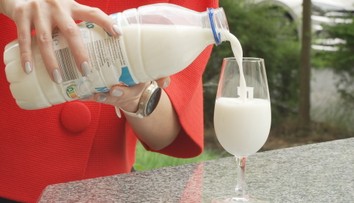 Ceny mléka dál padají. Zemědělci ale bijí na poplach