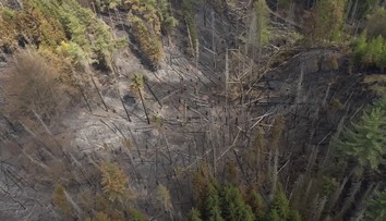 Požár v Českém Švýcarsku slábne. Déšť pomohl zmenšit zasaženou plochu