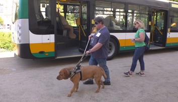 V Liberci soutěžili vodicí psi. Museli najít přechod nebo volné místo v autobusu