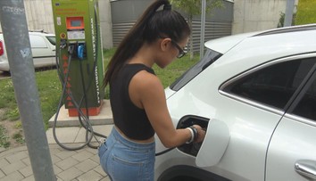 Prodejcům aut se loni v Česku dařilo. Populární byly i elektromobily