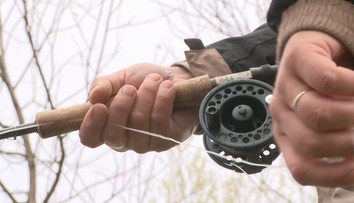 V jižních Čechách pořádají mistrovství světa v muškaření. Soutěží 32 týmů