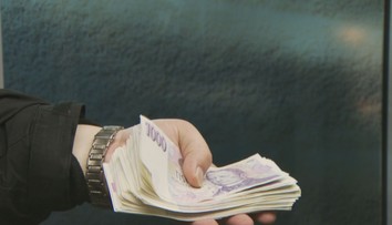 Dotace se v Česku zneužívají ve velkém, zjistil úřad. Dosud to nikdo neřešil