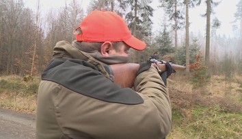 Myslivci sčítají škody po povodních. Chtějí žádat ministerstvo o kompenzaci