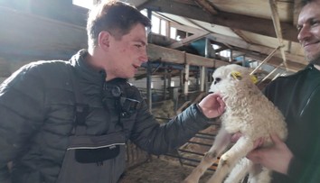 Práce na zkoušku: Reportér TV Nova si vyzkoušel práci zootechnika