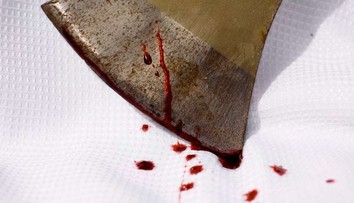 Ve snech vraždil sekerou. Noční můry prý chlapce dohnaly k brutálnímu činu