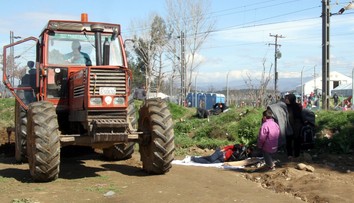 Uprchlíci zabrali farmáři jeho pole! Sedl do traktoru a vyřešil to