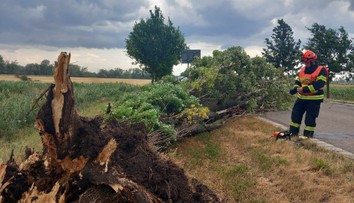 Ženou se silné bouřky s vichřicí. Hasiči hlásí vyrvané stromy a zničené střechy