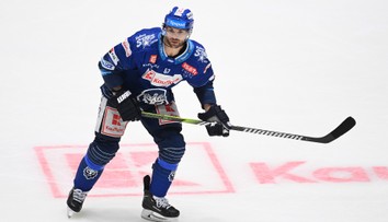 Disciplinárka trestala ve velkém. Hvězdy extraligy pykají za napadení sudího