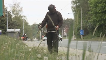 Vysoká tráva u křižovatek může být nebezpečná. Vadí řidičům ve výhledu